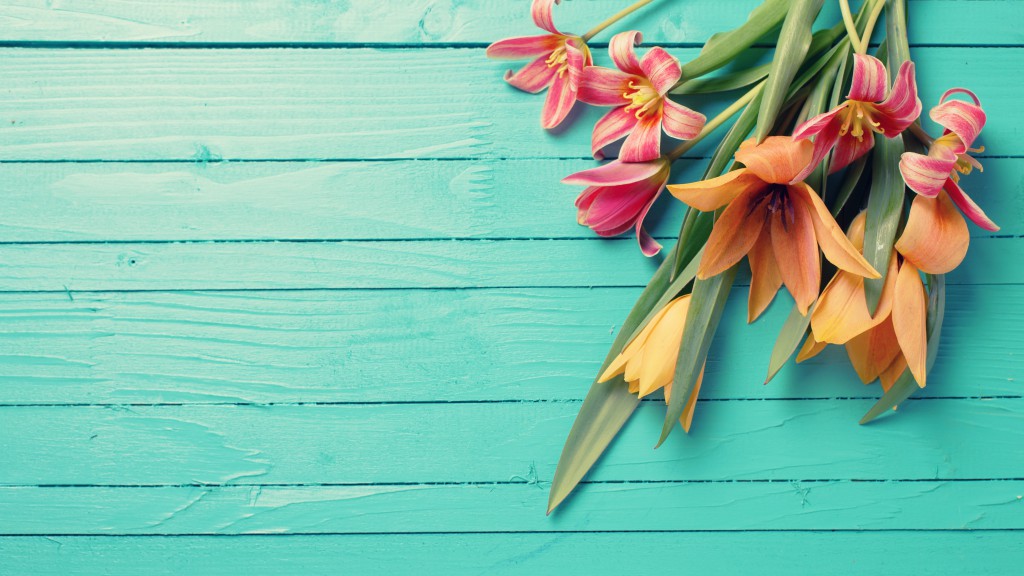 shutterstock_269880035