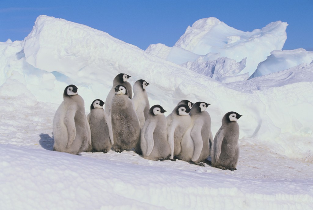 shutterstock_225709903