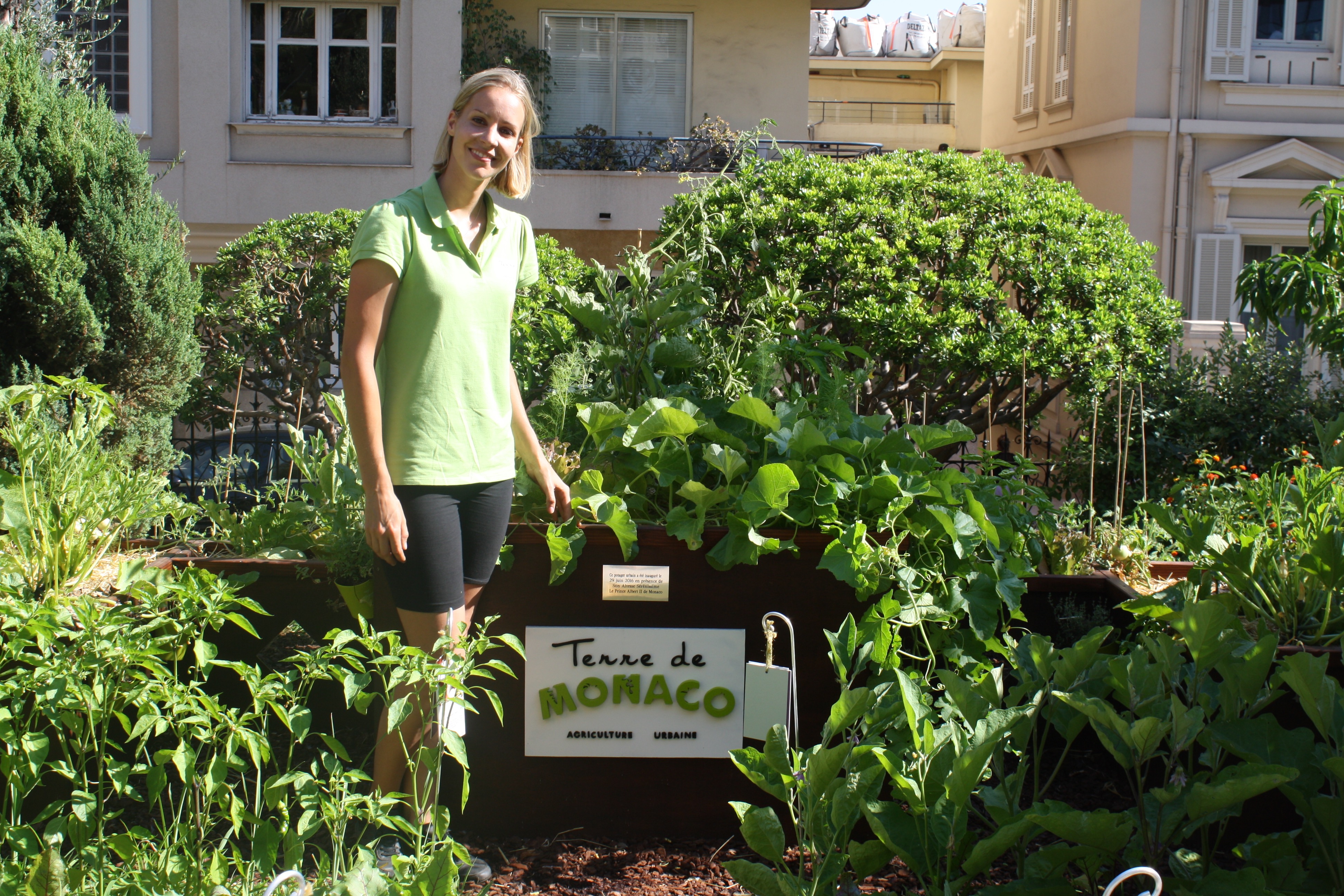 Terre de Monaco : un potager au-dessus de votre tête