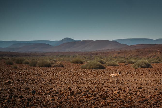 Mike Horn : l’aventurier à pied en Namibie