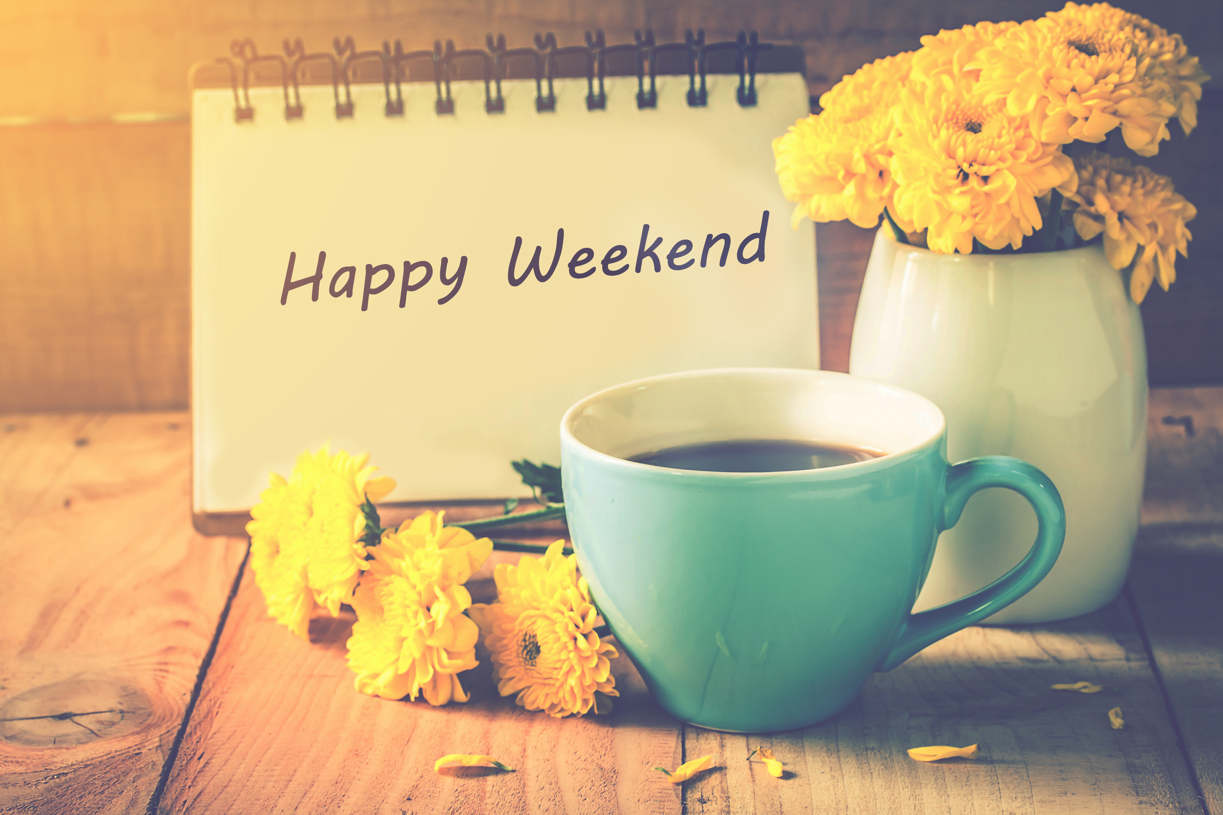 Il est temps de programmer son week-end !