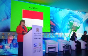 COP22-OMS