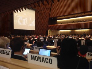 Monaco-Conseil-Executif-OMS