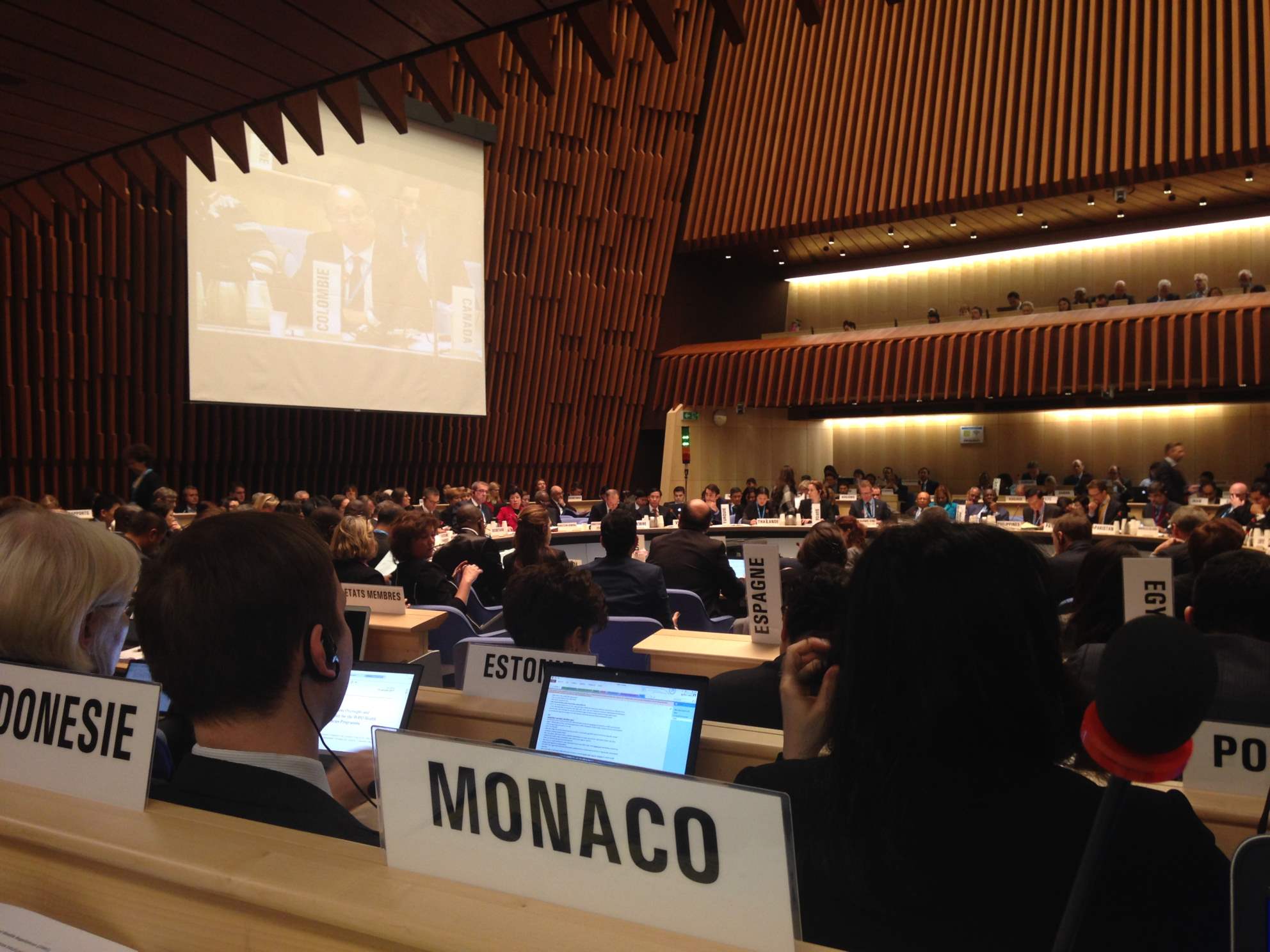 Participation de Monaco à la 140ème session du Conseil exécutif de l’OMS