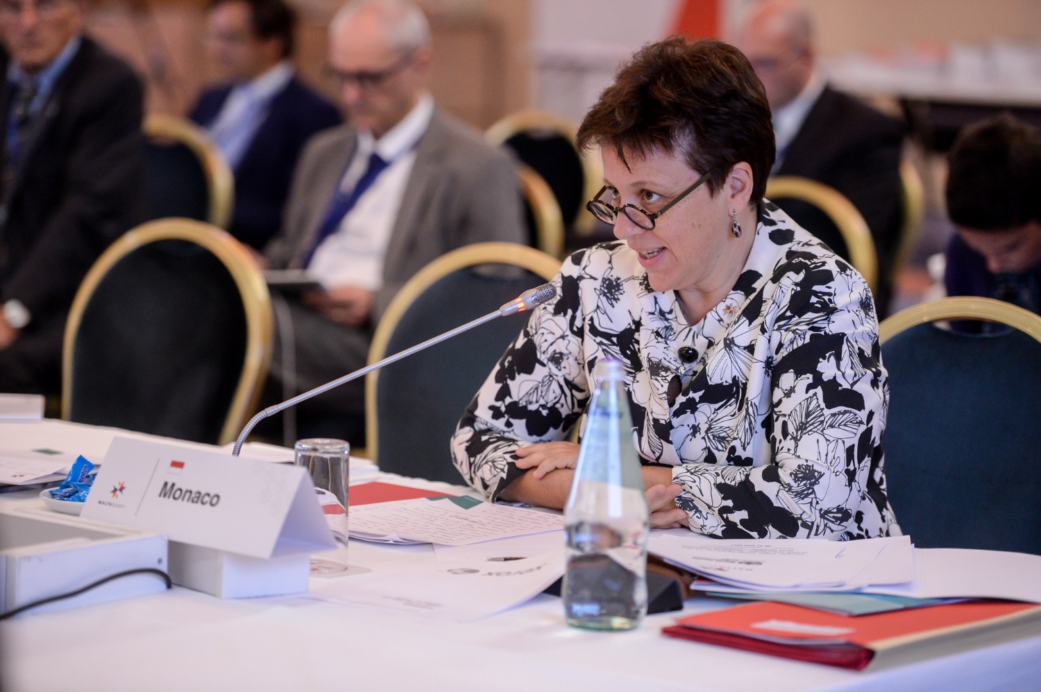 Monaco participe à la 4ème Réunion de Haut Niveau de l&rsquo;initiative des Petits États d&rsquo;Europe de l&rsquo;OMS