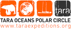 PastedGraphic-1