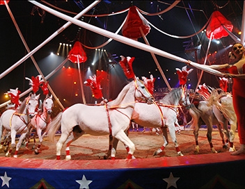 31e-festival-international-du-cirque-de-monte-carlo_9295570_1