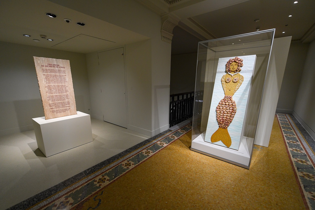 « La Sirène de 165 mètres et autres histoires » : une expo différente