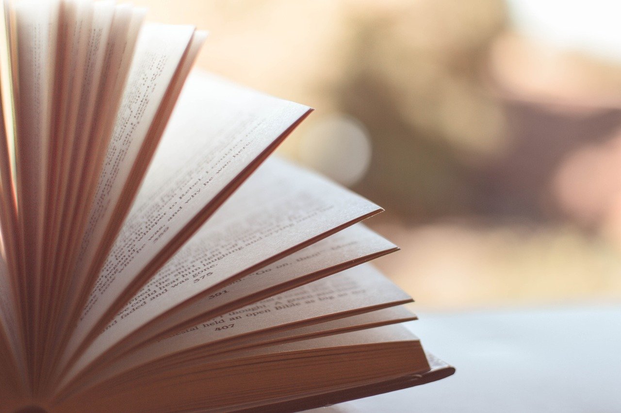 Livres : comment « rêver en littérature » avec Daniel Pennac