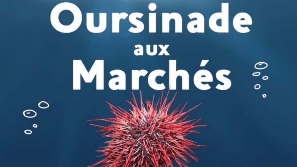 Rendez-vous aux Oursinades des marchés de Monaco