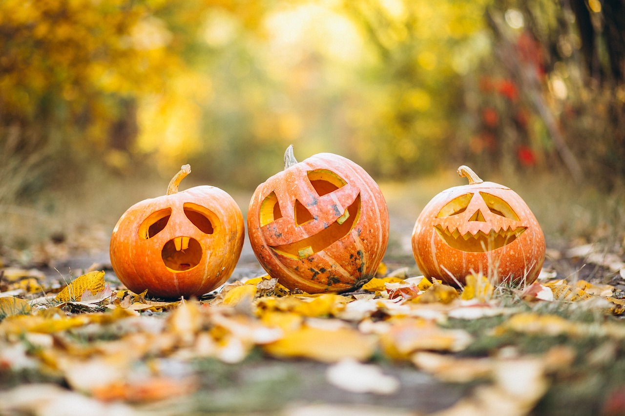 Halloween : les activités effrayantes de la Médiathèque