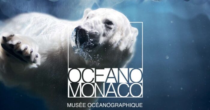 Mission Polaire : Une Aventure Enchantée au Cœur des Pôles au Musée Océanographique